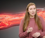 UNC System - Anatomy and Physiology Video