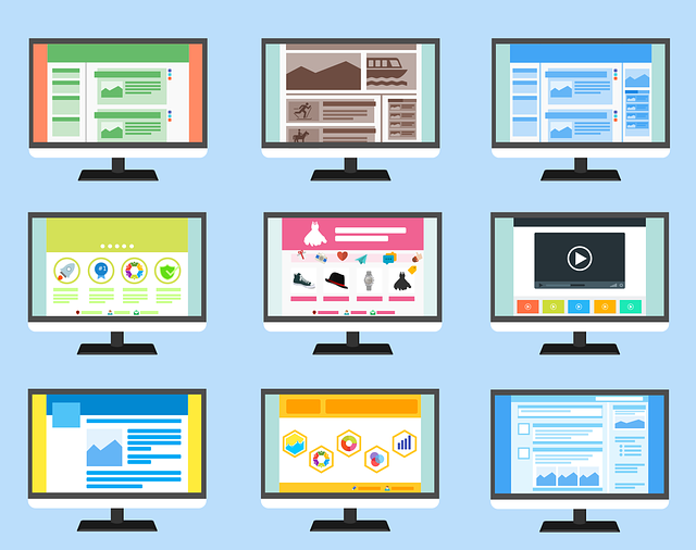 Digital Survival Skills Module 2: Types of Mis/Disinformation