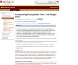 Constructing Phylogenetic Trees: The Whippo Story Constructing Phylogenetic Trees: The Whippo Story