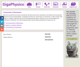 Conservation of Momentum Virtual Lab