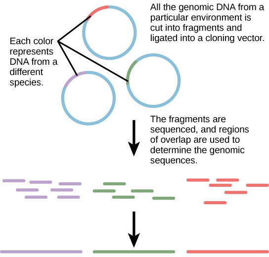 Applying Genomics