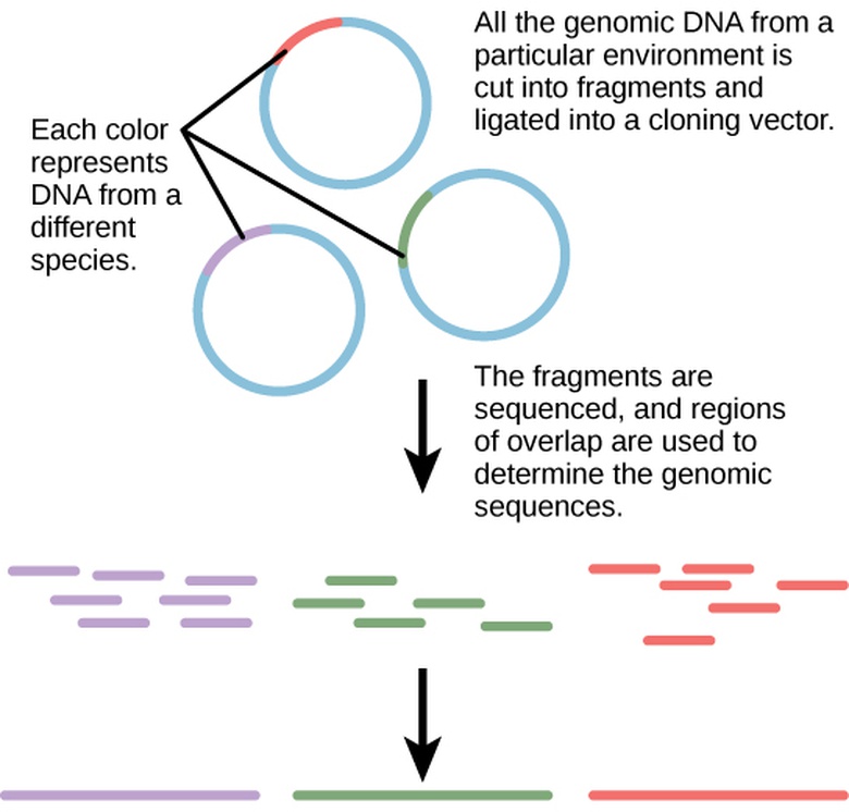 Applying Genomics