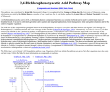 2,4-Dichlorophenoxyacetic Acid Pathway Map 2,4-Dichlorophenoxyacetic Acid Pathway Map
