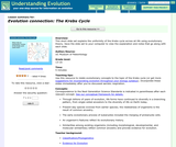 Evolution Connection: The Krebs Cycle Evolution Connection: The Krebs Cycle