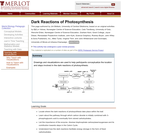 Dark Reactions of Photosynthesis Dark Reactions of Photosynthesis