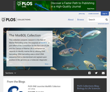 The MarBOL Collection