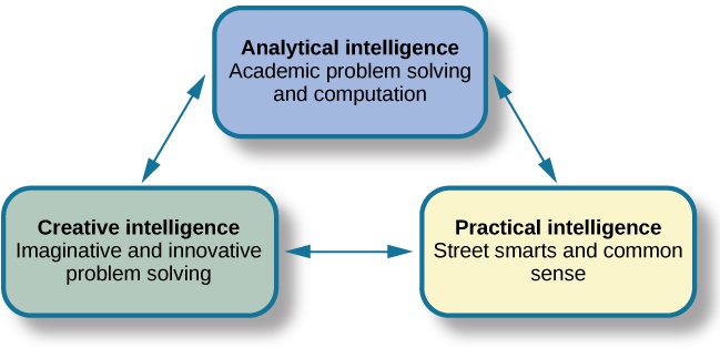 What Are Intelligence and Creativity?