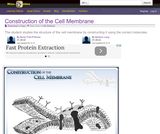 Construction of the Cell Membrane Construction of the Cell Membrane
