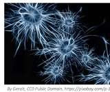 Problem Based Module: Cell Membrane Function and Dysfunction- A Key to Diseases Problem Based Module: Cell Membrane Function and Dysfunction- A Key to Diseases