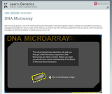 DNA Microarray DNA Microarray