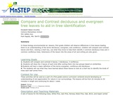 Compare and Contrast Deciduous and Evergreen Trees Compare and Contrast Deciduous and Evergreen Trees