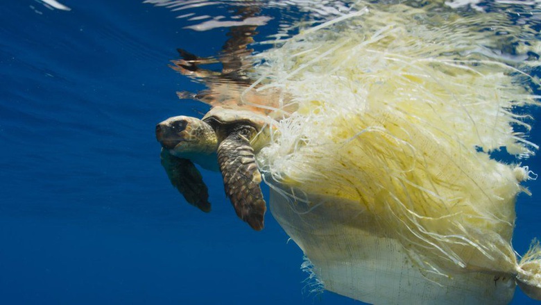 Ocean Garbage Patches