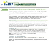 Eagles in the Ecosystem Classroom Jigsaw Activity Eagles in the Ecosystem Classroom Jigsaw Activity