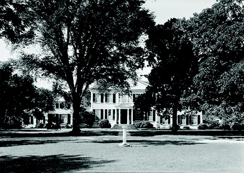 Wealth and Culture in the South