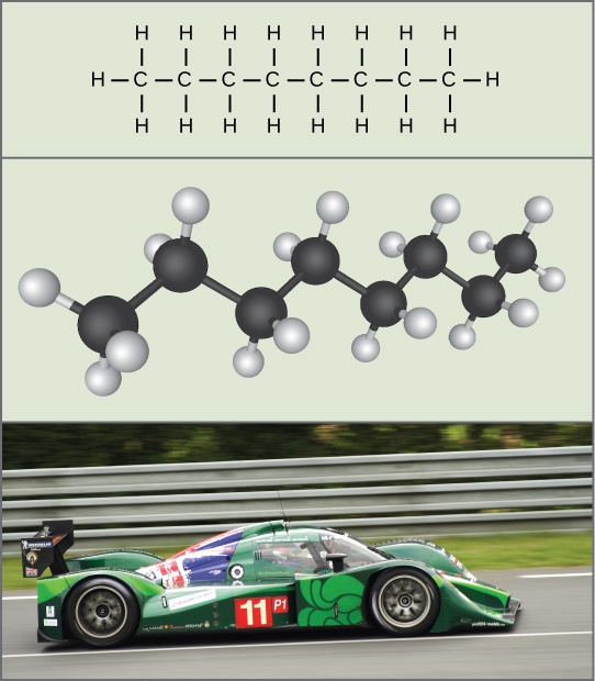 Potential, Kinetic, Free, and Activation Energy