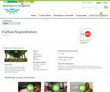 Carbon Sequestration