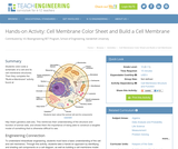 Cell Membrane Color Sheet and Build a Cell Membrane Cell Membrane Color Sheet and Build a Cell Membrane