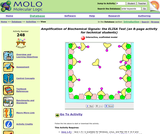 Amplification of Biochemical Signals: the ELISA Test Amplification of Biochemical Signals: the ELISA Test