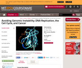 Avoiding Genomic Instability: DNA Replication, the Cell Cycle, and Cancer, Fall 2006 Avoiding Genomic Instability: DNA Replication, the Cell Cycle, and Cancer, Fall 2006