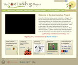 Lost Ladybug Project Lost Ladybug Project