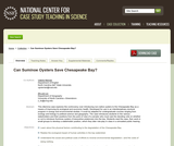 Can Suminoe Oysters Save Chesapeake Bay?