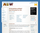 Arctocephalus philippii: Information