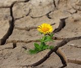 Empowering Online Assessments Empowering Online Assessments
