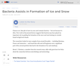 Bacteria Assists in Formation of Ice and Snow