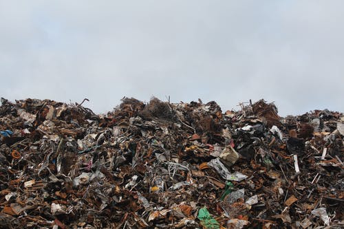 PEI SOLS MS Food Waste