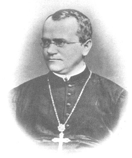Mendel’s Experiments and the Laws of Probability