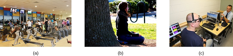 Regulation of Stress