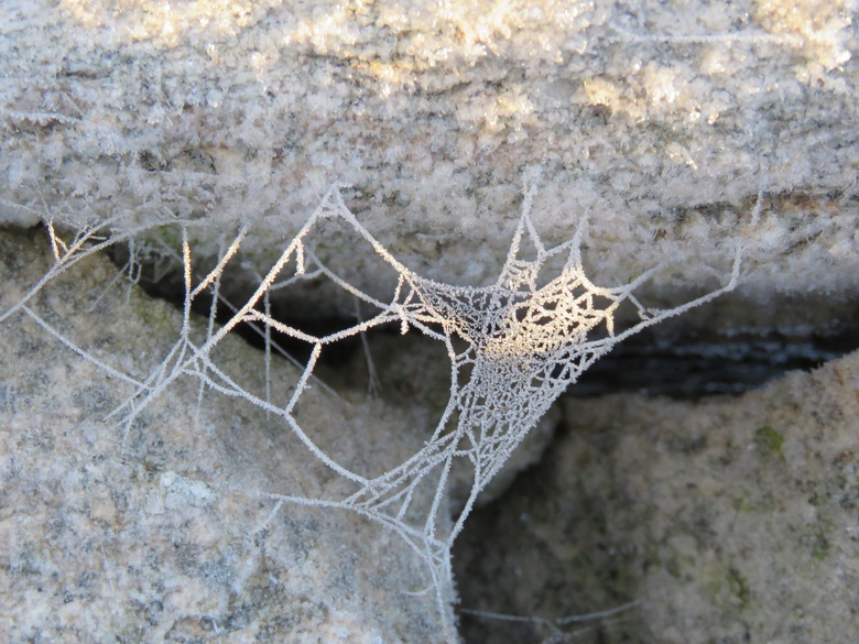 Field Trip into nature