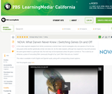 Switching Genes On and Off