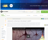 Alzheimer's: Is the Cure in the Genes?