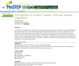 Introduction to Human Tissues: How are Tissues Classified? Introduction to Human Tissues: How are Tissues Classified?