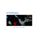 echobasics | echocardiography tutorial echobasics | echocardiography tutorial