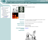 Early movements in science Early movements in science