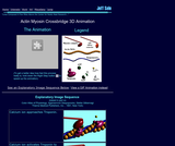 Actin-myosin Crossbridge Animation Actin-myosin Crossbridge Animation