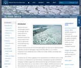 All About Sea Ice