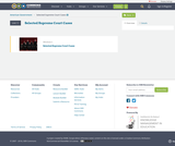 American Government, Selected Supreme Court Cases