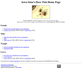 Iowa State University: Iowa State's Deer Tick Home Page