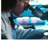 The Formation of Polymers The Formation of Polymers